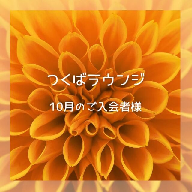 *･゜ﾟ･*･*:.｡. .｡.

つくばラウンジ「10月のご入会者様」
・
・
今月は、
メジャーリーグの大谷選手の偉業を称え

1か月限定で
初期費用がすべて50％オフという
大変お得なお得な

「50：50キャンペーン」
を行いました(´▽｀)

そして今月は、
つくばラウンジでは6名の新規会員様が
いらっしゃいました。

＜20代　女性＞
可愛らしく品のある女性です。ご職業は薬剤師、プライベートでは旅行がお好きだそうです。

＜30代　女性＞
再入会です。色白なお肌が印象的な清楚で可愛らしい女性です。
どちらかというとインドア派で、パートナーの方とは、家でゆったり過ごしたりお料理をしたいそうです。

＜30代　女性＞
再入会です。中学校の教員をされております。
色白で目がパッチリとしたスタイルの良い女性です。

＜40代　女性＞
PARTY☆PARTYへご参加いただいていましたが婚活方法を変更され相談所へご入会されました。
これまでは看護師として仕事中心の生活をされてきたそうで「自分も幸せな家庭を持ちたい」と一念発起されました♪

＜40代　女性＞
短期決戦で婚活を開始されました。将来は、夫婦で楽しく健康的にお過ごしになりたいそうです。
リードしてくれそうな頼もしい方が理想との事です。

＜40代　女性＞
高学歴高年収の知的な女性です。
物腰は柔らかで冗談を交え明るく笑い合えるとても魅力的な方です。

今月は全員女性✨
6名の新規会員様、
これからどうぞ宜しくお願いいたします🍀

*･゜ﾟ･*･*:.｡. .｡.:*･゜ﾟ･* ･*:.｡. .｡.:*･